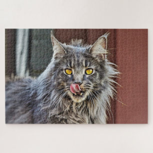 Maine Coon Kitty Cat Cute Fun Animal Legpuzzel