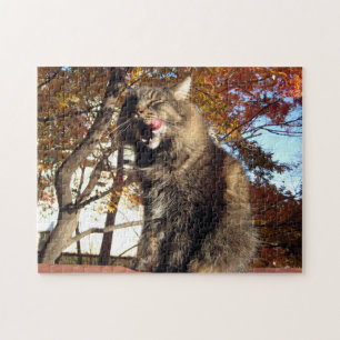 Maine Coon Kitty Cat Cute Fun Animal Legpuzzel