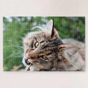 Maine Coon Kitty Cat Cute Fun Animal Legpuzzel