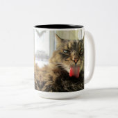 Maine Coon Kitty Cat Tweekleurige Koffiemok (Voorkant rechts)