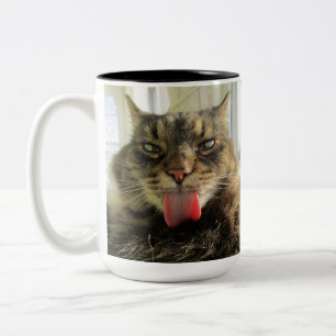 Maine Coon Kitty Cat Tweekleurige Koffiemok