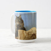 Maine Coon Kitty Cat Tweekleurige Koffiemok (Voorkant links)