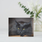 Maine Coon Kitty Cute Fun Briefkaart (Staand voorkant)