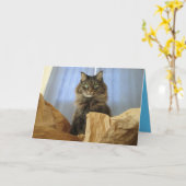 Maine Coon Kitty Kat Cute Aanpasbare Kaart (Gele Bloem)