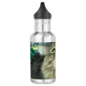 Maine Coon kitty Waterfles (Links)