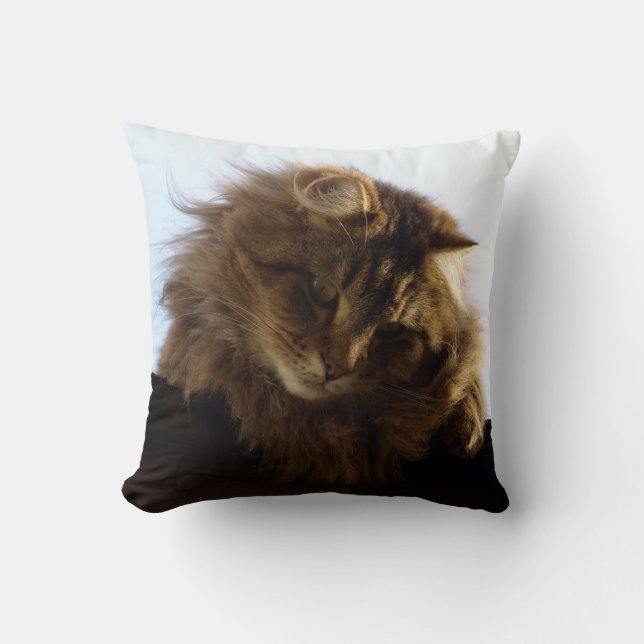 Maine Coon Long-hair Tabby Cat Kussen (Voorkant)