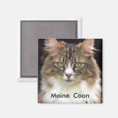 Maine Coon Magneet (Voorkant / Achterkant)
