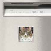 Maine Coon Magneet (Insitu (Vaatwasser))