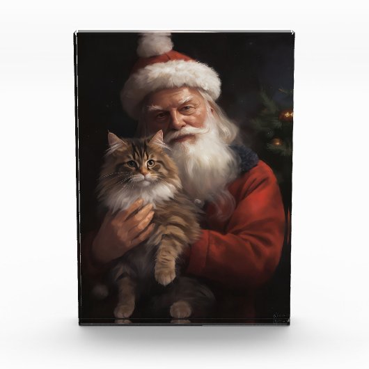 Maine Coon met Sinterklaas Festive Kerst  Fotoblokken (Voorkant)