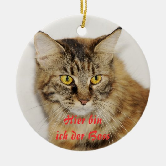 Maine Coon Ornament (Voorkant)