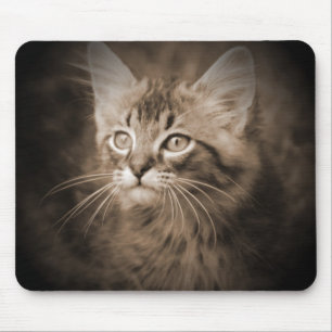 Maine Coon Sepia #1 Mousepad Muismat