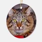 Maine-Coone Cat Keramisch Ornament (Links)