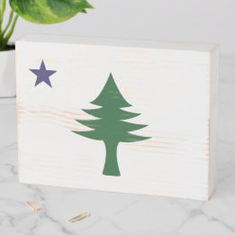 Maine Flag 1901 Houten Kist Print