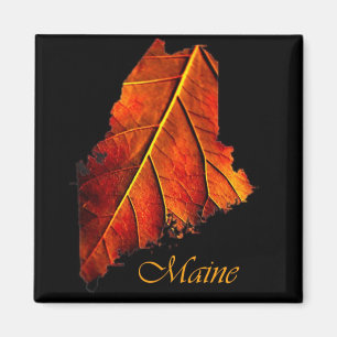 Maine Gift Magnet Souvenir Magneet