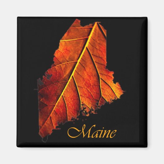 Maine Gift Magnet Souvenir Magneet (Voorkant)
