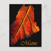 Maine Herfst Photo Foliage | Autumn Maine Foliage Briefkaart (Voorkant)