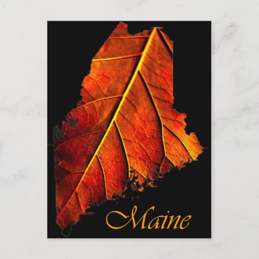 Maine Herfst Photo Foliage | Autumn Maine Foliage Briefkaart (Voorkant)