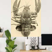  Maine kreeft foto (1895) 2 Poster (Thuiskantoor)