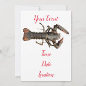 Maine Lobster Thunder_Cove, vers Kaart (Achterkant)