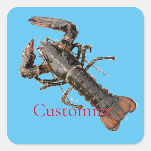 Maine Lobster Thunder_Cove, vers Vierkante Sticker (Voorkant)