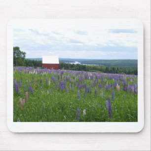 Maine Lupines Field Stockholm, ME Muismat