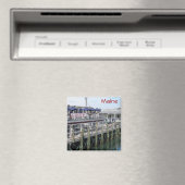 Maine Magneet (Insitu (Vaatwasser))