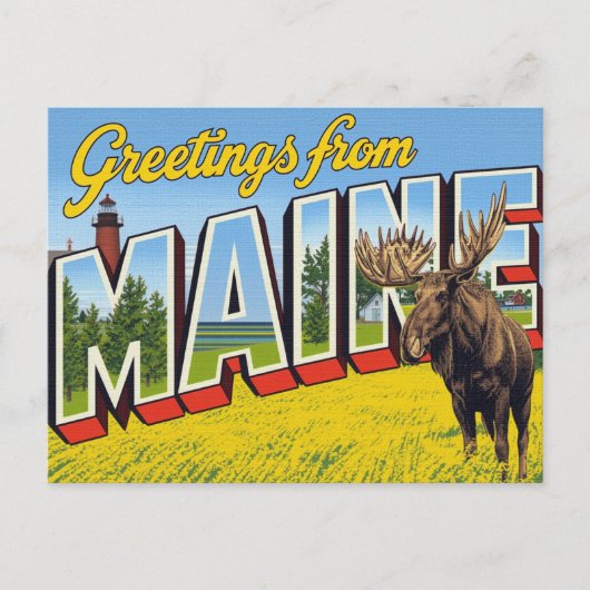 Maine Moose and Lighthouse Briefkaart (Voorkant)