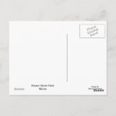 Maine Moose Briefkaart (Achterkant)