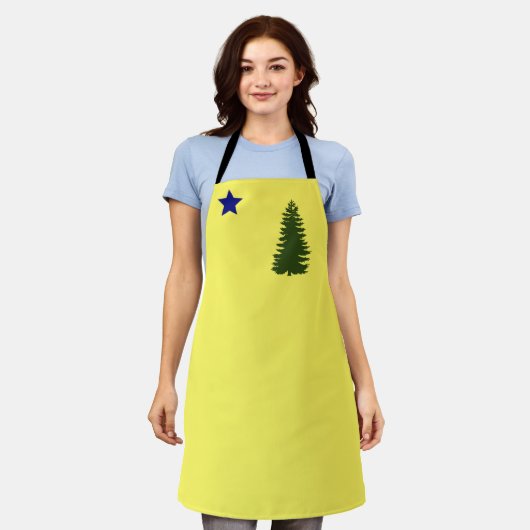 Maine old flag (1901) schort (Gedragen)