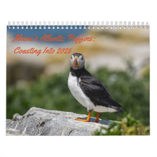 Maine’s Atlantic Puffins: Coasting Into 2026  Kalender