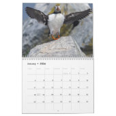Maine’s Atlantic Puffins: Coasting Into 2026  Kalender (Jan 2026)