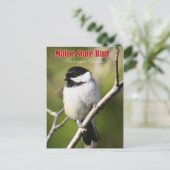 Maine State Bird - Black-capped Chickadee Briefkaart (Staand voorkant)