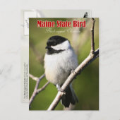 Maine State Bird - Black-capped Chickadee Briefkaart (Voorkant / Achterkant)