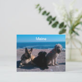 Maine Vacation Briefkaart (Staand voorkant)