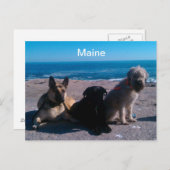 Maine Vacation Briefkaart (Voorkant / Achterkant)