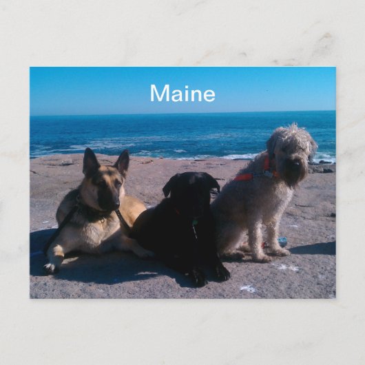 Maine Vacation Briefkaart (Voorkant)