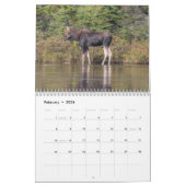 Maine Wild Life Agenda 2013 Kalender (Feb 2026)