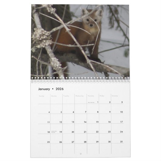 Maine Wild Life Agenda 2013 Kalender (Jan 2026)