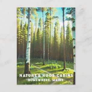 *~* Maine Woud Berk Groene Coniferen AP49 Briefkaart