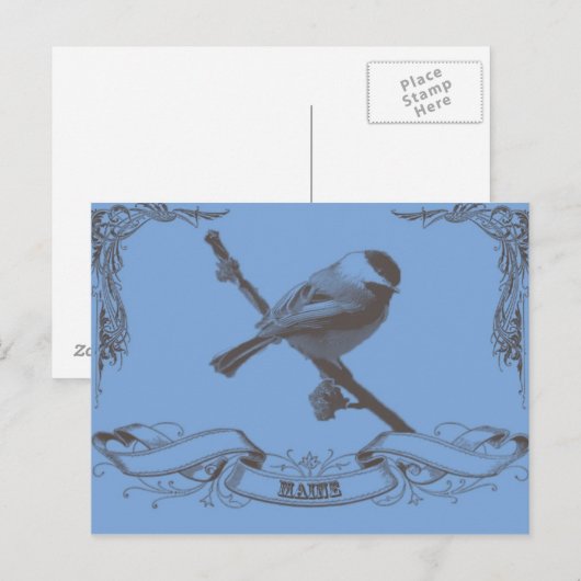 mainechickadee briefkaart (Voorkant / Achterkant)