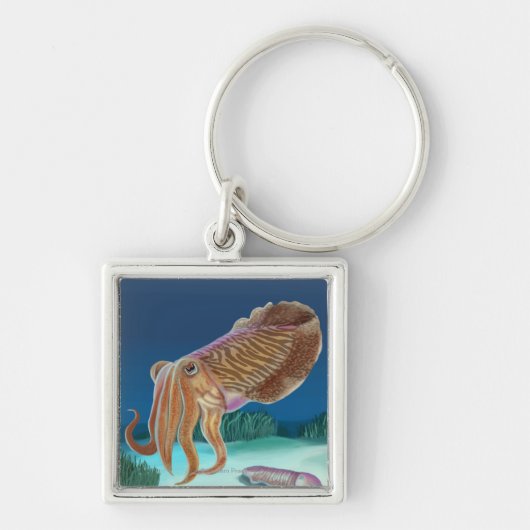 MaineCuttlefish Scene Sleutelhanger (Voorkant)