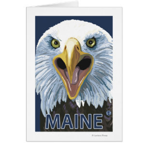MaineEagle Up Close