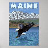 MaineEagle Vist Poster (Voorkant)