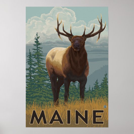 MaineElk Scene Poster (Voorkant)