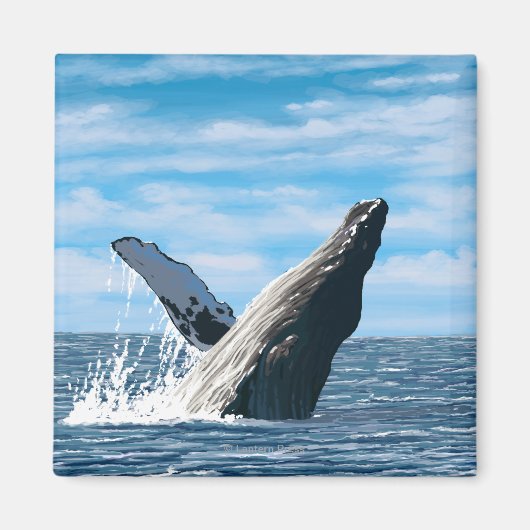 MaineHumpback Whale Scene Magneet (Voorkant)