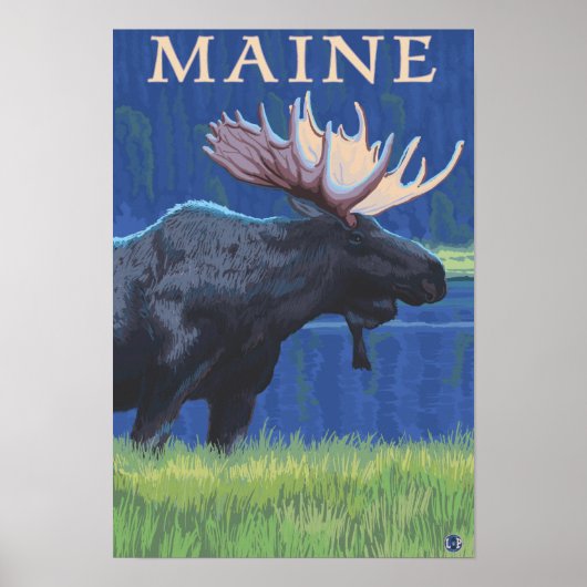 MaineMoose in de maan Poster (Voorkant)