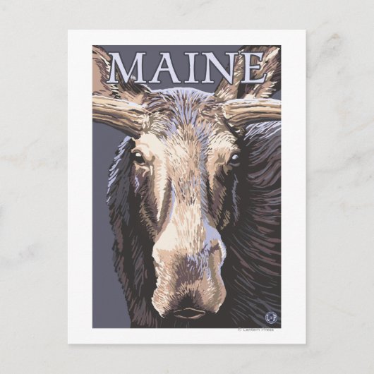 MaineMoose Up Close Briefkaart (Voorkant)