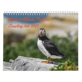 Maine's Puffins: Coasting in de Kalender van 2025