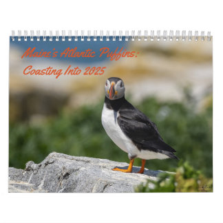 Maine's Puffins: Coasting in de Kalender van 2025