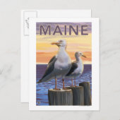 MaineSea Gulls Scene Briefkaart (Voorkant / Achterkant)